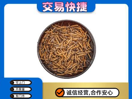 钦州回收散虫草